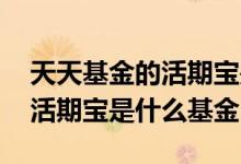 天天基金的活期宝是货币基金吗 天天基金的活期宝是什么基金