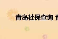 青岛社保查询 青岛个人社保卡查询