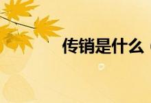传销是什么（什么叫做传销）