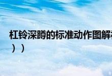 杠铃深蹲的标准动作图解视频（杠铃深蹲的标准动作（图文））