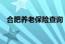 合肥养老保险查询 合肥个人养老保险查询