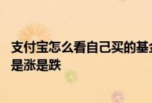 支付宝怎么看自己买的基金涨跌 支付宝怎么看自己买的基金是涨是跌