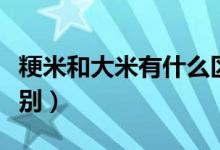 粳米和大米有什么区別（粳米和大米有什么区别）