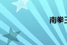 南拳王（南拳）