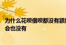 为什么花呗借呗都没有额度了 借呗突然没有额度了花呗会不会也没有