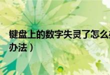 键盘上的数字失灵了怎么办（电脑键盘数字键失灵后的解决办法）