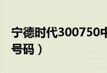 宁德时代300750中签号查询（宁德时代中签号码）
