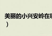 美丽的小兴安岭在哪里（小兴安岭在什么地方）