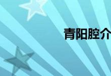 青阳腔介绍（青阳腔）