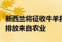 新西兰将征收牛羊打嗝费该国一半的温室气体排放来自农业