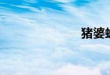 猪婆蛇（猪婆）