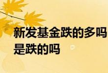 新发基金跌的多吗 股市大跌买的新发基金也是跌的吗