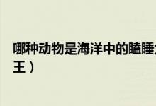 哪种动物是海洋中的瞌睡大王（什么动物是海洋中的瞌睡大王）