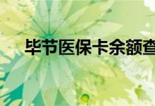 毕节医保卡余额查询 毕节医疗保险查询