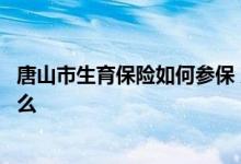 唐山市生育保险如何参保 唐山市生育保险参保办理条件是什么 