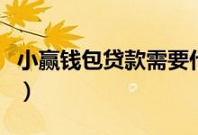 小赢钱包贷款需要什么条件（能贷款多少额度）