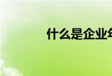 什么是企业年金 什么是QDII