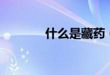 什么是藏药（什么是藏青色）