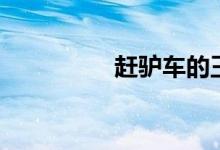 赶驴车的王大娘（赶驴）