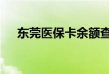 东莞医保卡余额查询 东莞医疗保险查询