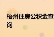 梧州住房公积金查询 梧州个人住房公积金查询