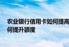 农业银行信用卡如何提高额度 中国农业银行信用卡 应该如何提升额度