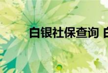 白银社保查询 白银个人社保卡查询