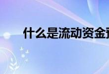 什么是流动资金预测 什么是流动资金