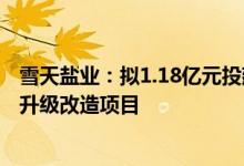 雪天盐业：拟1.18亿元投建重庆湘渝盐化联碱装置绿色固碳升级改造项目