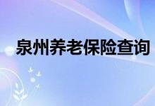 泉州养老保险查询 泉州个人养老保险查询