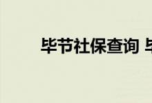 毕节社保查询 毕节个人社保卡查询
