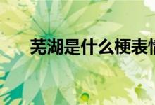 芜湖是什么梗表情包（芜湖是什么梗）
