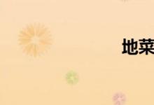 地菜（地菜）