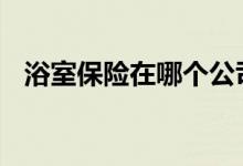 浴室保险在哪个公司买 开浴室怎么买保险