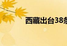 西藏出台38条政策措施稳经济