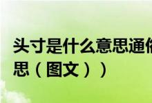 头寸是什么意思通俗易懂解释（头寸是什么意思（图文））