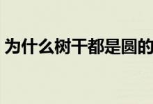 为什么树干都是圆的（树干为什么都是圆的）