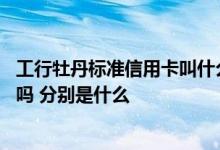 工行牡丹标准信用卡叫什么 工行牡丹信用卡有哪些特色服务吗 分别是什么
