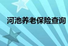 河池养老保险查询 河池个人养老保险查询