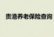 贵港养老保险查询 贵港个人养老保险查询