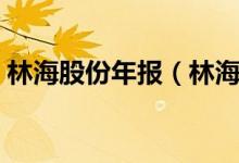 林海股份年报（林海股份的股票代码是多少）