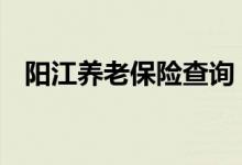 阳江养老保险查询 阳江个人养老保险查询