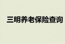 三明养老保险查询 三明个人养老保险查询