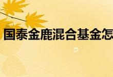国泰金鹿混合基金怎么样（一年来涨了多少）