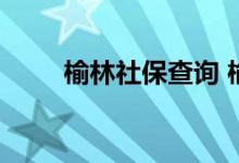 榆林社保查询 榆林个人社保卡查询