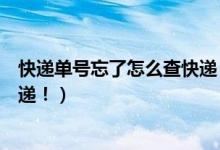快递单号忘了怎么查快递（这些方法能立马帮你找到你的快递！）