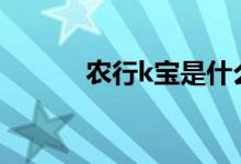 农行k宝是什么 农行K宝是什么