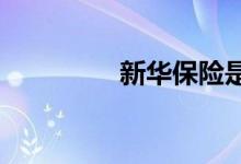 新华保险是国企还是央企