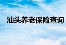 汕头养老保险查询 汕头个人养老保险查询