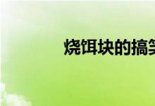 烧饵块的搞笑视频（烧饵块）